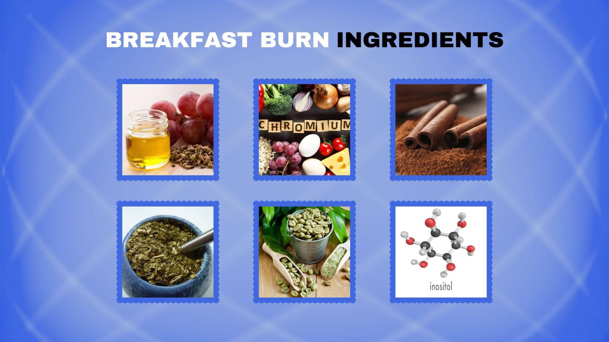 Breakfast Burn Supplement Facts
